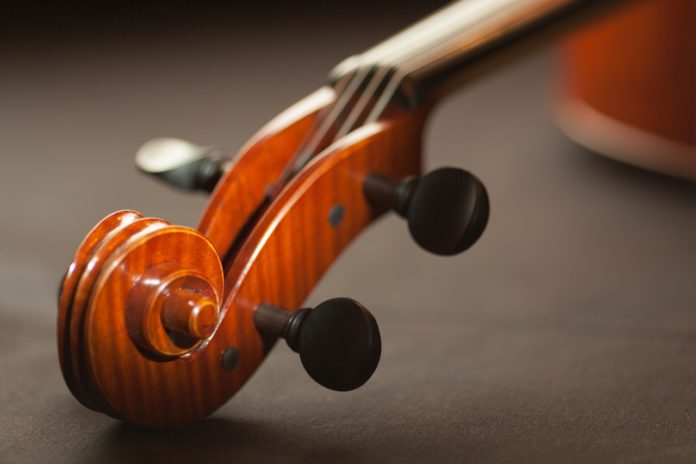 musicista violino