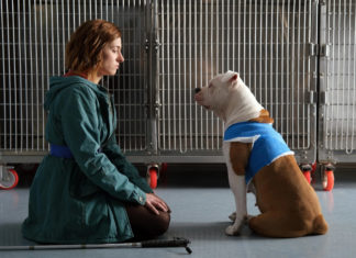 Casting aperti a Roma per la fiction Rai “Blanca 2” Blanca 2 Rai Fiction