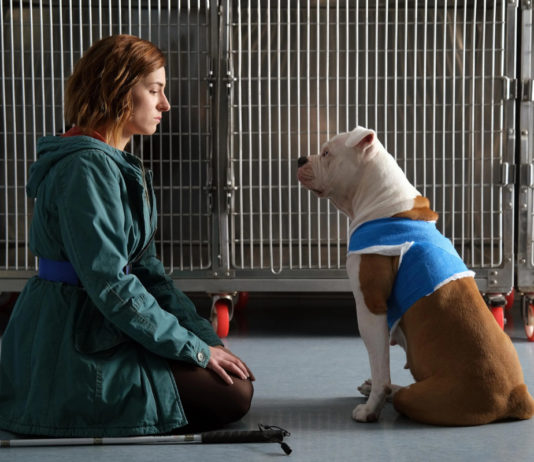 Casting aperti a Roma per la fiction Rai “Blanca 2” Blanca 2 Rai Fiction