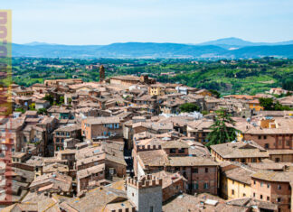 Casting aperti per una serie TV prodotta da Luca Guadagnino Toscana Siena