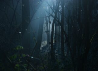 “Contro un iceberg di polistirolo”, si cerca attrice protagonista tra i 20 e i 35 anni film horror riprese