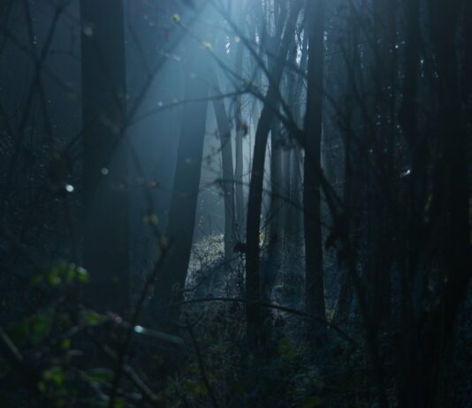 “Contro un iceberg di polistirolo”, si cerca attrice protagonista tra i 20 e i 35 anni film horror riprese